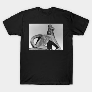 Vintage Photo of Lion of Judah Ethopia T-Shirt